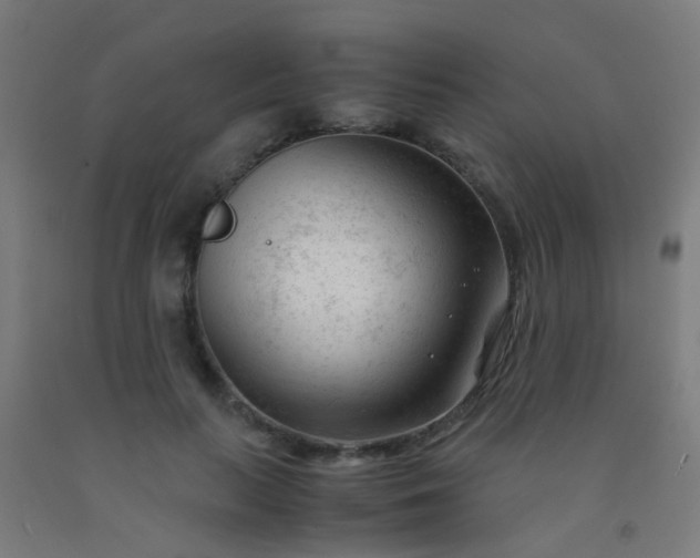 X0000092310647200709281347