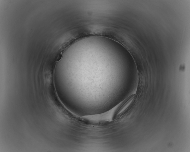 X0000092310648200709281347