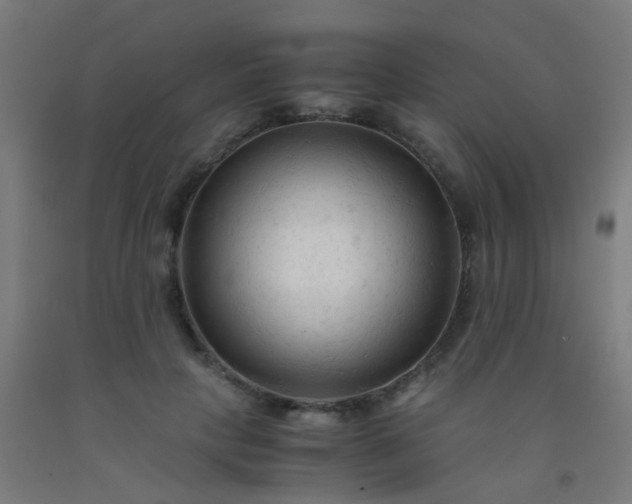 X0000092310649200709281347