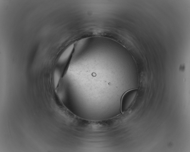 X0000092310650200709281347
