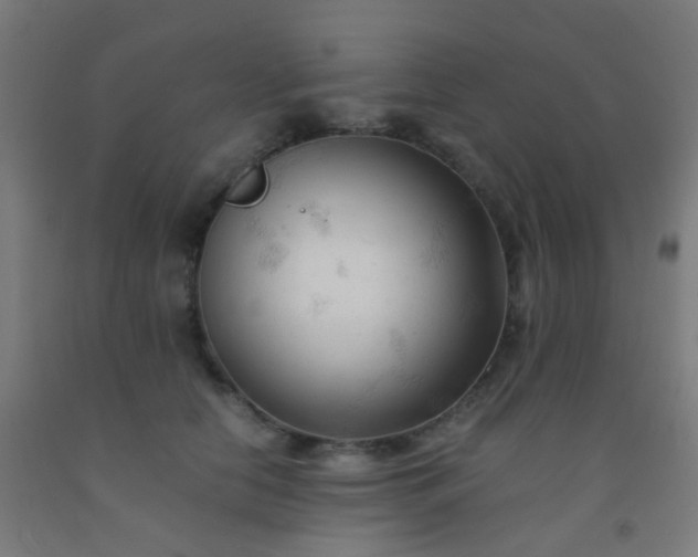 X0000092310658200709281347