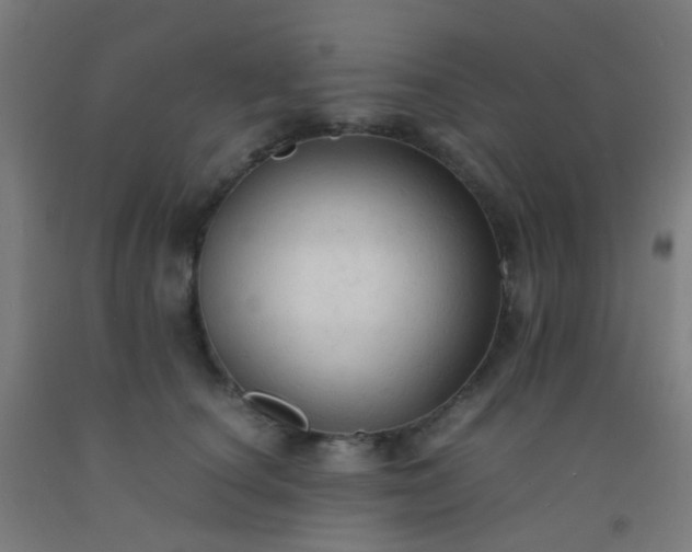 X0000092310660200709281347