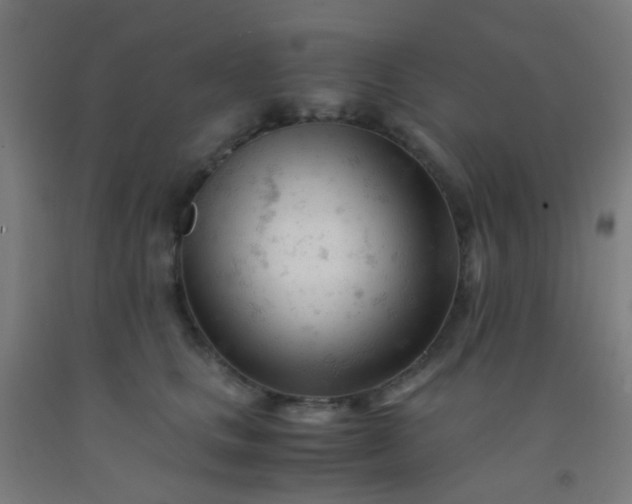 X0000092310661200709281347