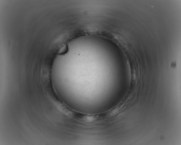X0000092310662200709281347