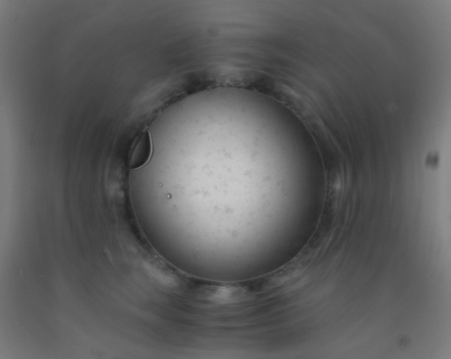 X0000092310663200709281347