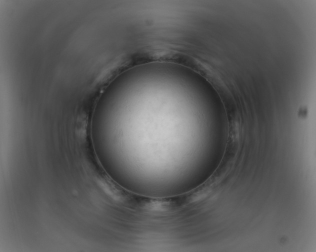 X0000092310664200709281347