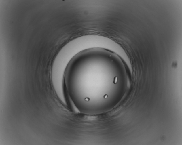 X0000092310665200709281347