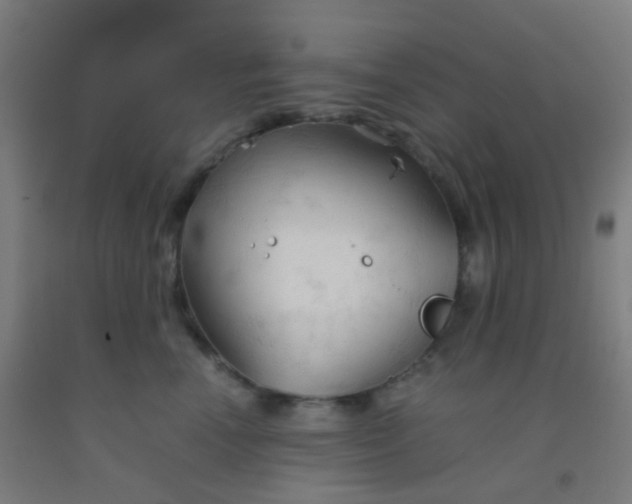 X0000092310666200709281347