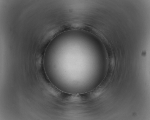 X0000092310668200709281347