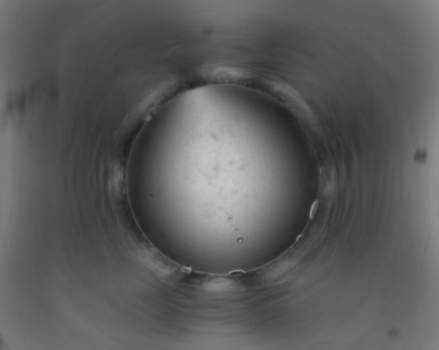 X0000092310669200709281347