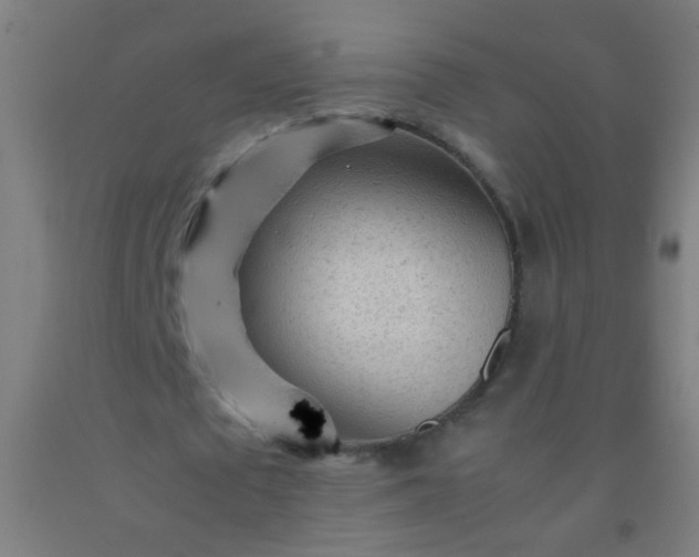 X0000092310673200709281347