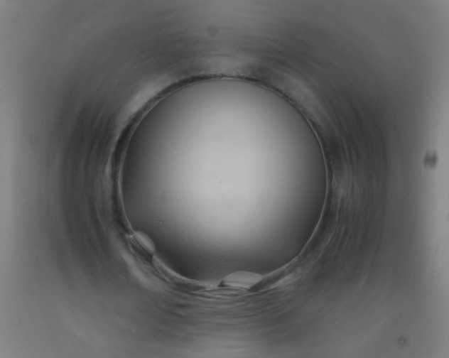 X0000092310674200709281347