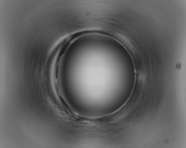 X0000092310676200709281347