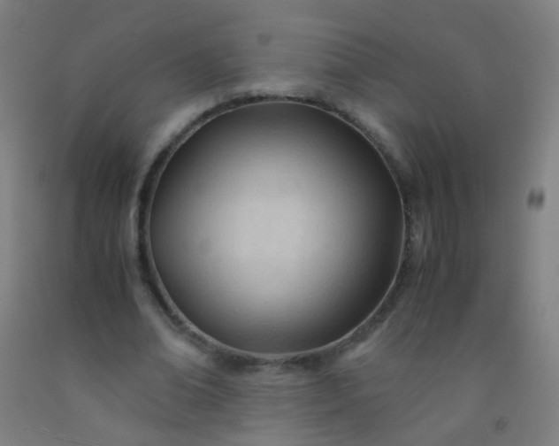 X0000092310678200709281347