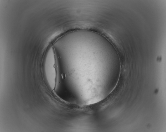 X0000092310679200709281347