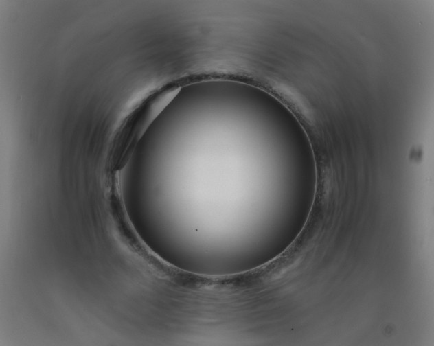X0000092310680200709281347