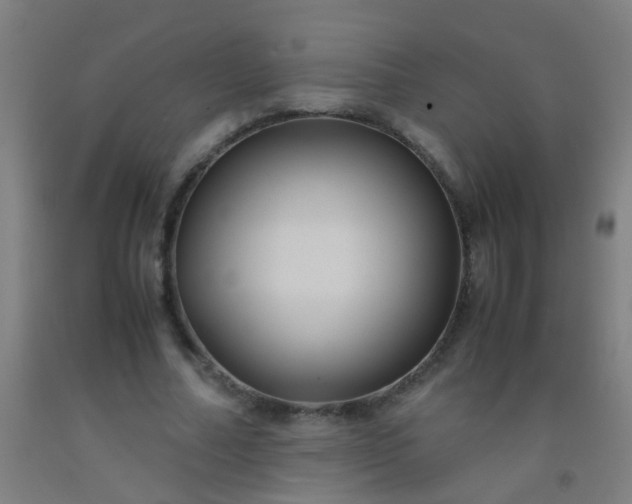 X0000092310682200709281347