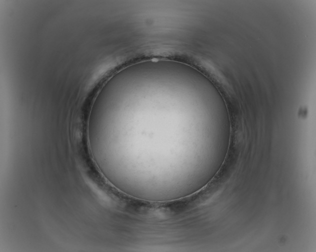 X0000092310683200709281347