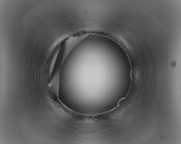 X0000092310684200709281347