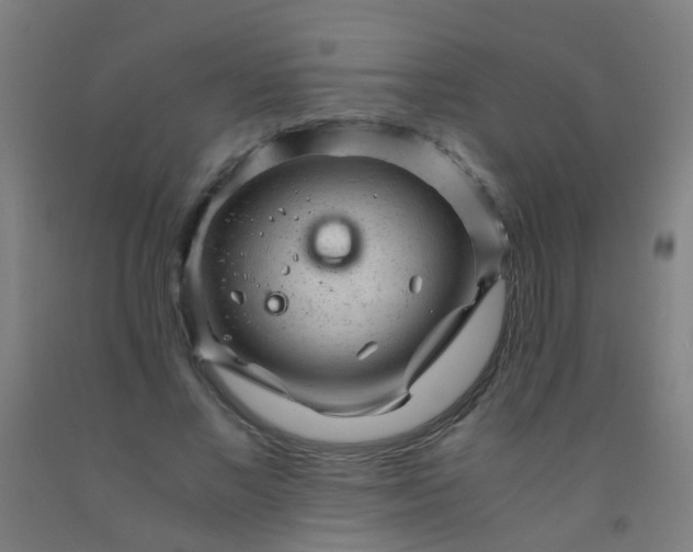 X0000092310685200709281347