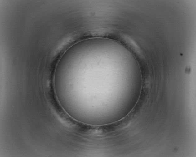X0000092310687200709281346