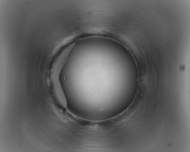 X0000092310688200709281346