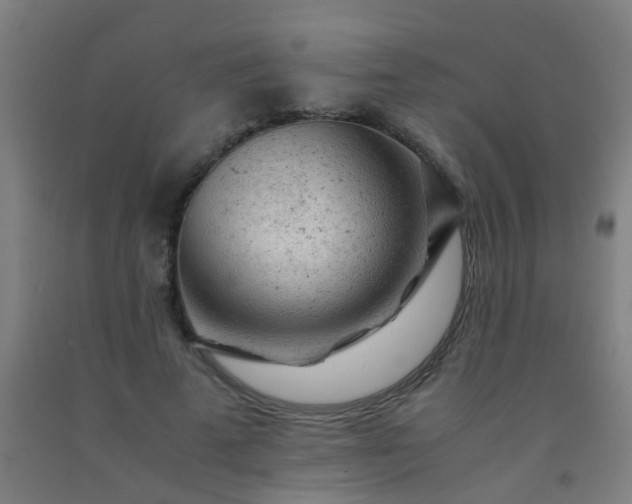 X0000092310689200709281346