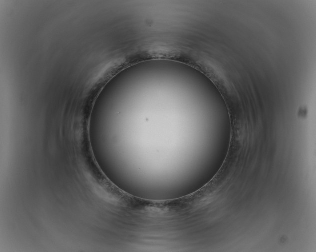 X0000092310690200709281346