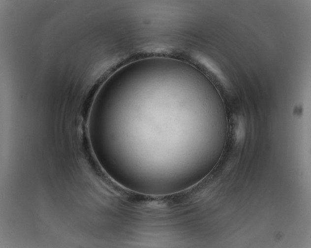 X0000092310692200709281346