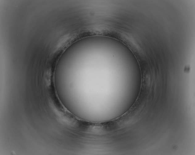 X0000092310694200709281346