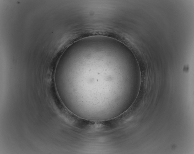 X0000092310695200709281346