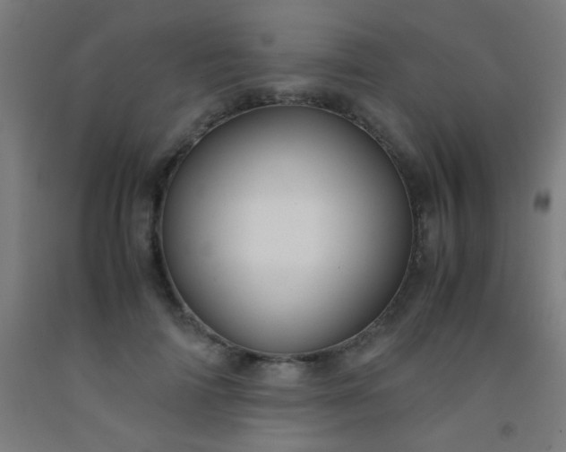 X0000092310698200709281346