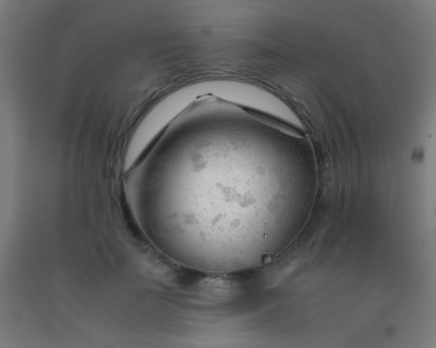 X0000092310699200709281346