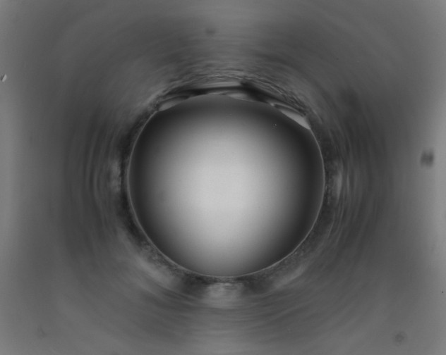 X0000092310700200709281346