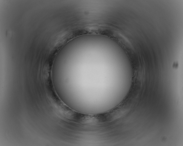 X0000092310702200709281346