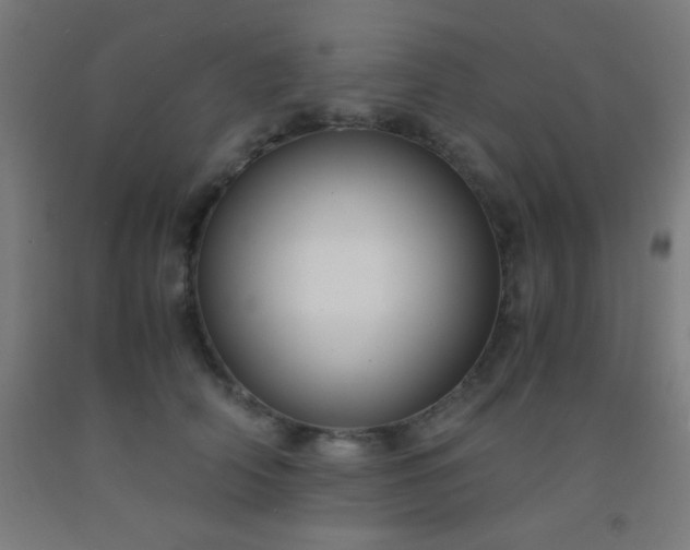 X0000092310706200709281346