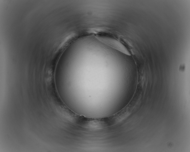 X0000092310708200709281346