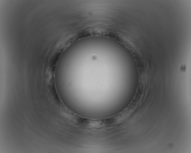 X0000092310709200709281346