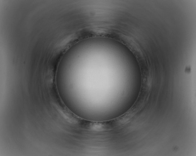 X0000092310710200709281346