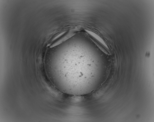 X0000092310711200709281346