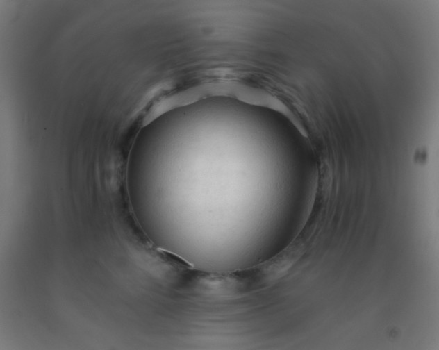 X0000092310712200709281346