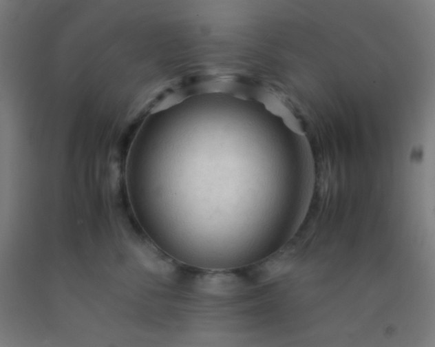 X0000092310716200709281346
