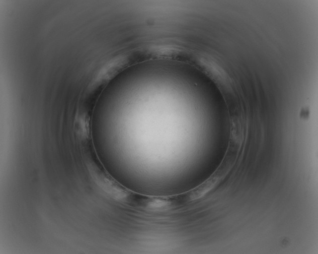 X0000092310718200709281346