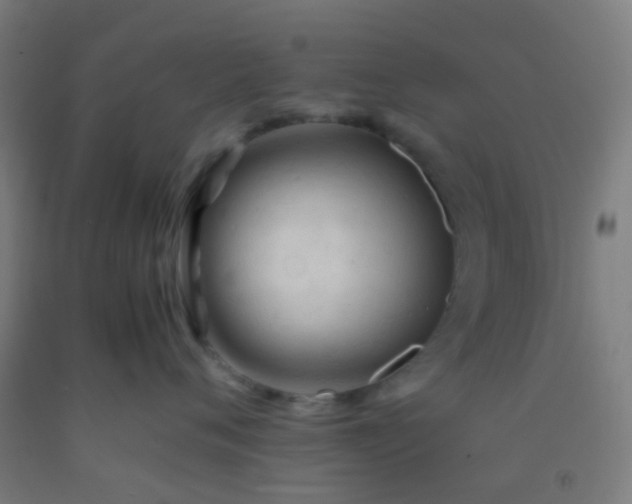 X0000092310720200709281346