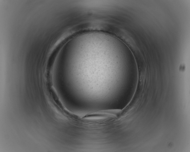 X0000092310722200709281345