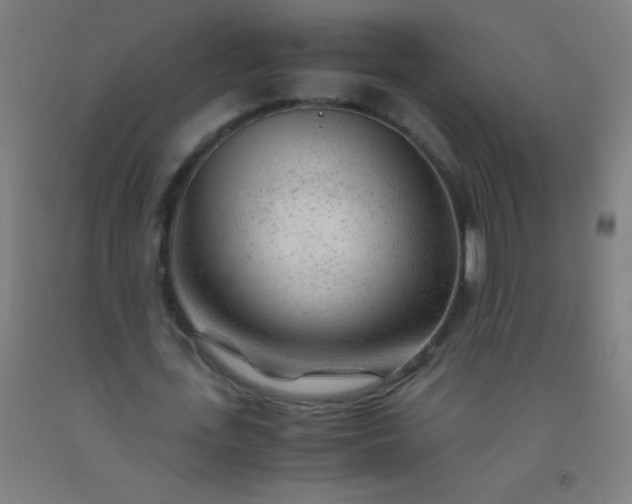 X0000092310723200709281346