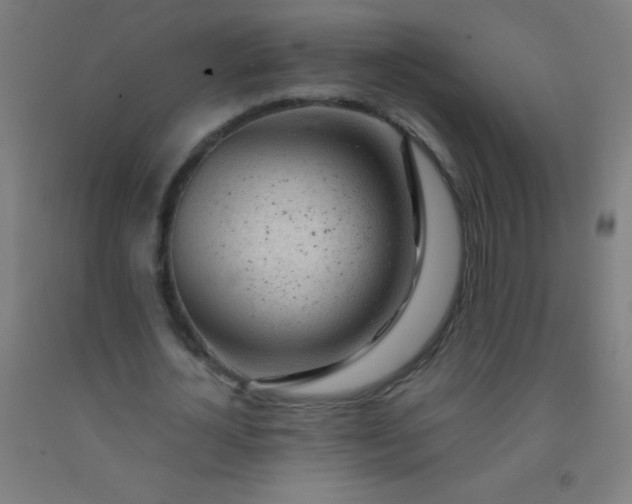 X0000092310724200709281346