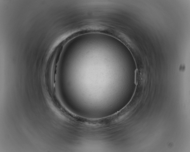 X0000092310726200709281346
