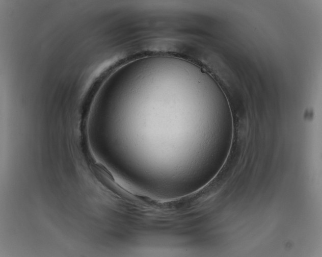 X0000092310727200709281346
