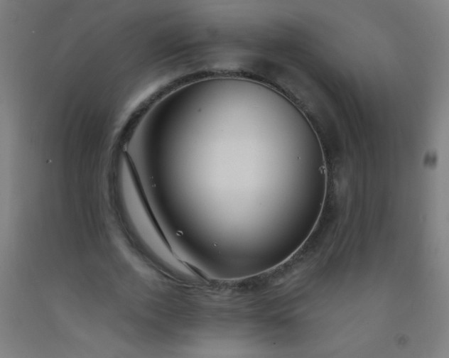 X0000092310728200709281346